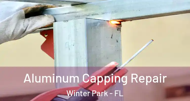 Aluminum Capping Repair Winter Park - FL