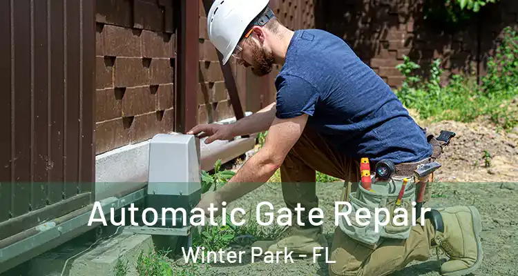  Automatic Gate Repair Winter Park - FL