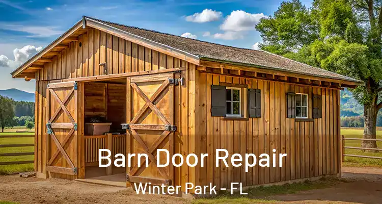  Barn Door Repair Winter Park - FL