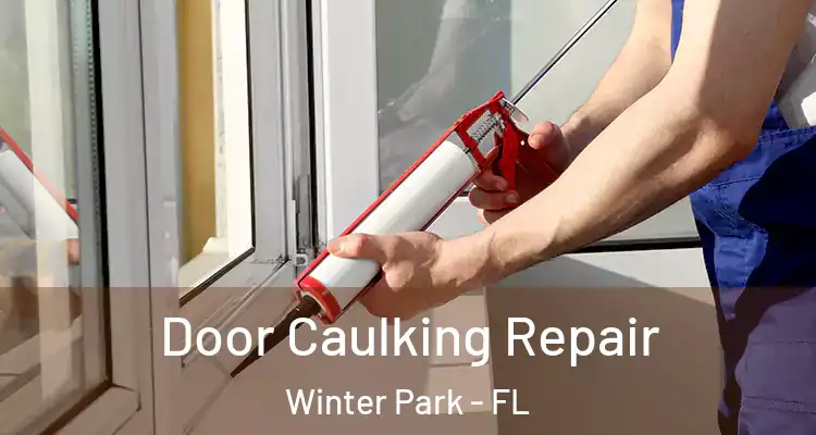  Door Caulking Repair Winter Park - FL