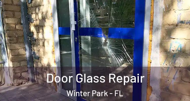  Door Glass Repair Winter Park - FL