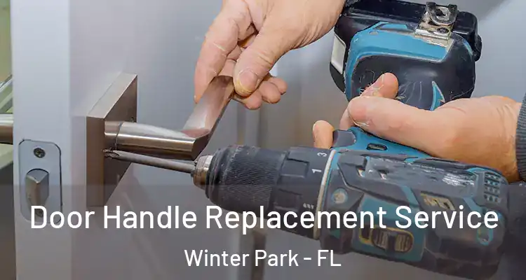  Door Handle Replacement Service Winter Park - FL