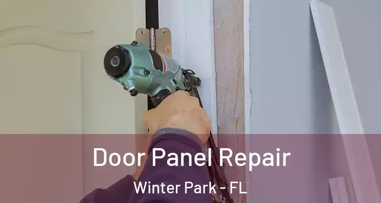  Door Panel Repair Winter Park - FL