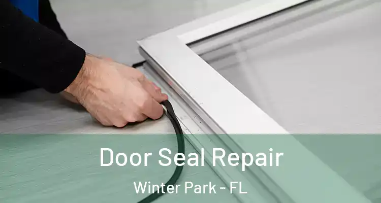  Door Seal Repair Winter Park - FL