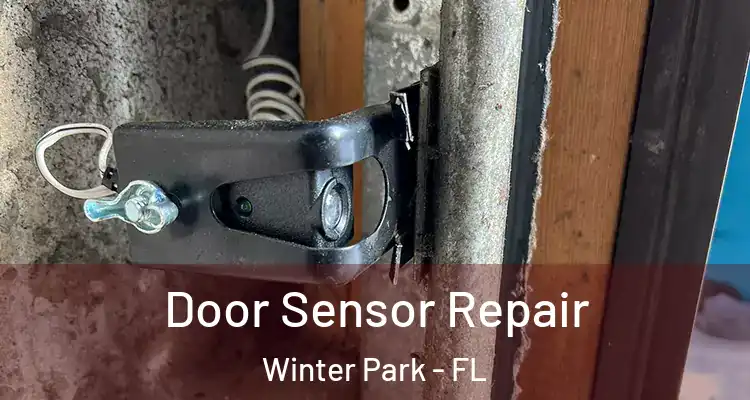  Door Sensor Repair Winter Park - FL