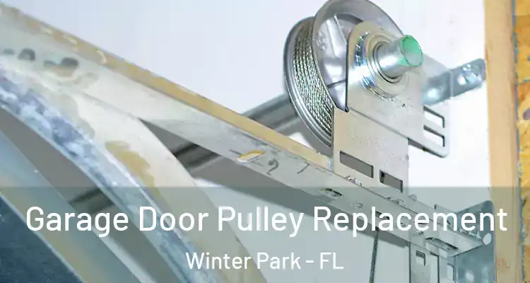  Garage Door Pulley Replacement Winter Park - FL