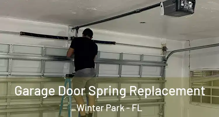  Garage Door Spring Replacement Winter Park - FL