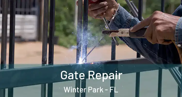  Gate Repair Winter Park - FL