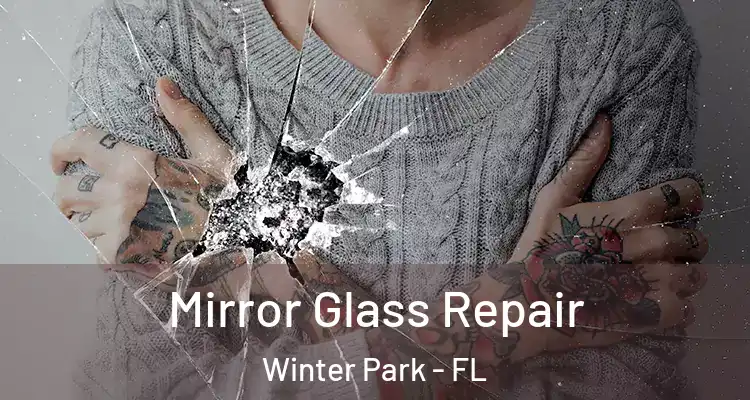 Mirror Glass Repair Winter Park - FL