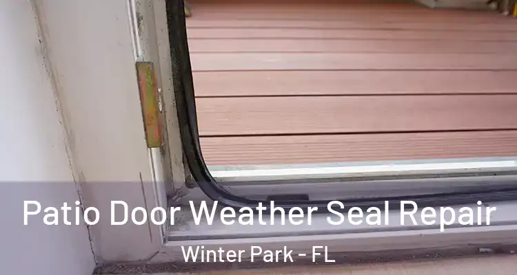 Patio Door Weather Seal Repair Winter Park - FL