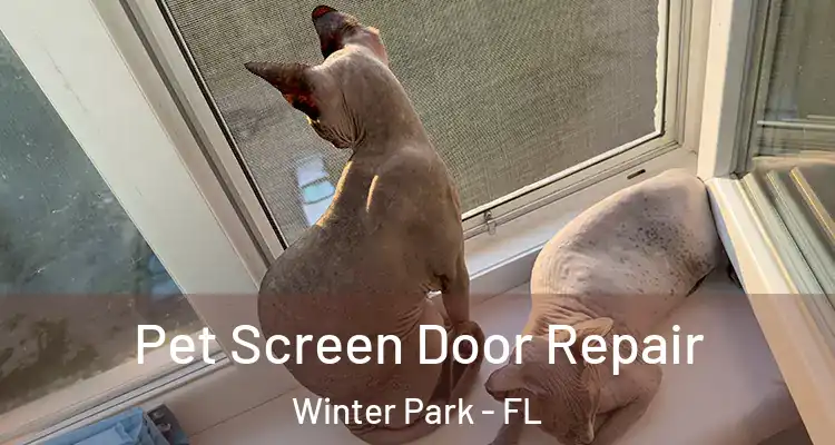  Pet Screen Door Repair Winter Park - FL