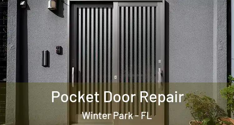  Pocket Door Repair Winter Park - FL