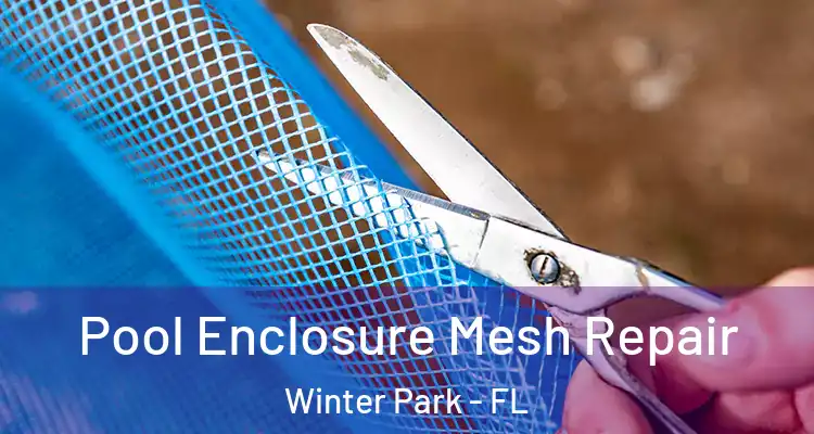  Pool Enclosure Mesh Repair Winter Park - FL