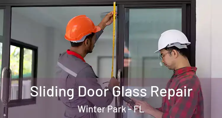  Sliding Door Glass Repair Winter Park - FL