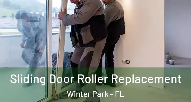  Sliding Door Roller Replacement Winter Park - FL