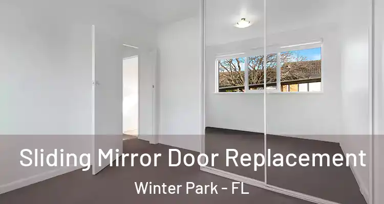  Sliding Mirror Door Replacement Winter Park - FL