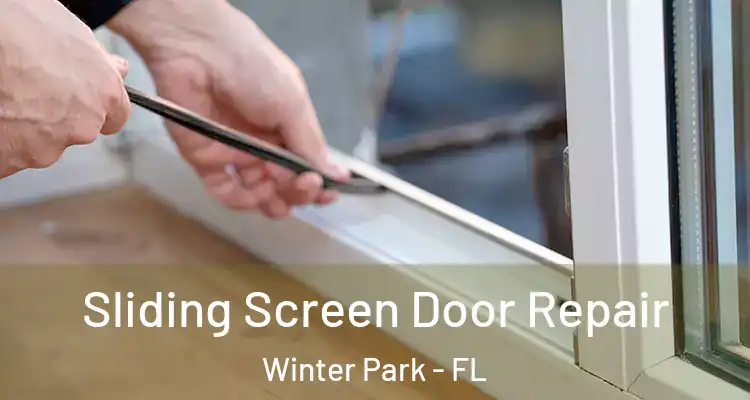  Sliding Screen Door Repair Winter Park - FL