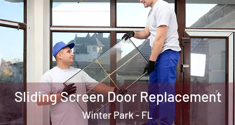  Sliding Screen Door Replacement Winter Park - FL