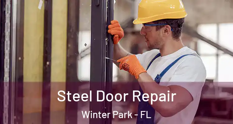  Steel Door Repair Winter Park - FL