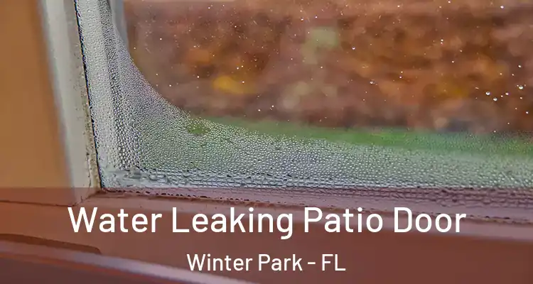  Water Leaking Patio Door Winter Park - FL