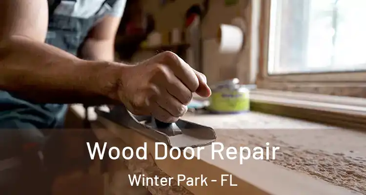  Wood Door Repair Winter Park - FL